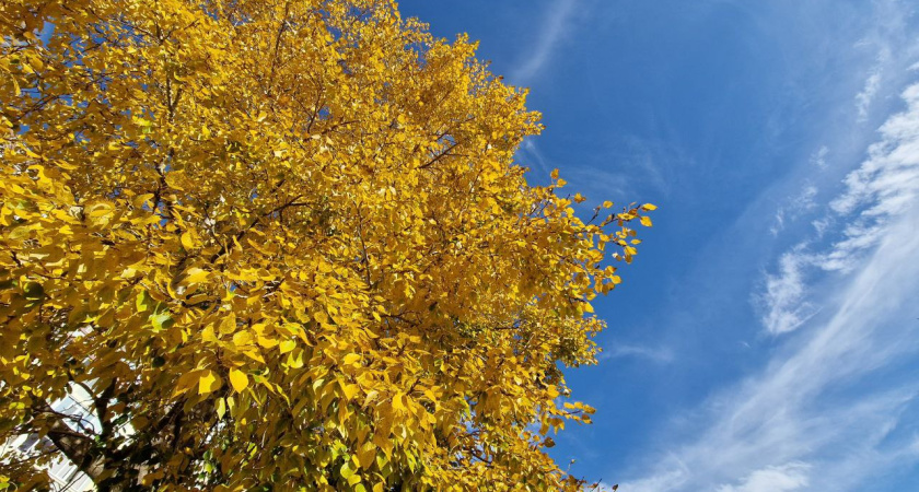 Выходные в Челнах: куда пойти 5 и 6 октября