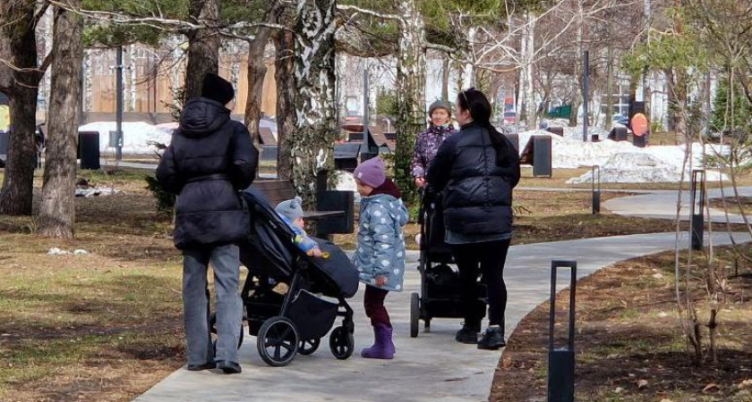 Многодетным семьям Челнов начали выдавать специальные удостоверения