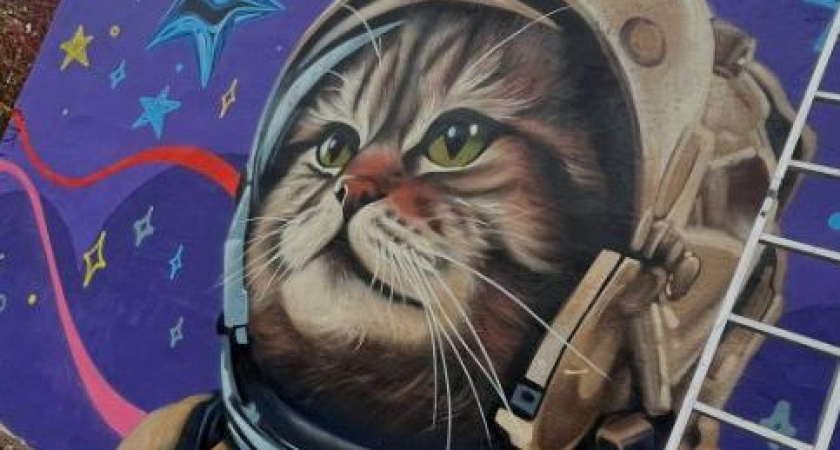 В Челнах появится мурал с котом-космонавтом