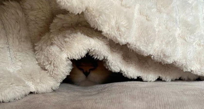 Опрос: в каждой десятой квартире Челнов нет отопления