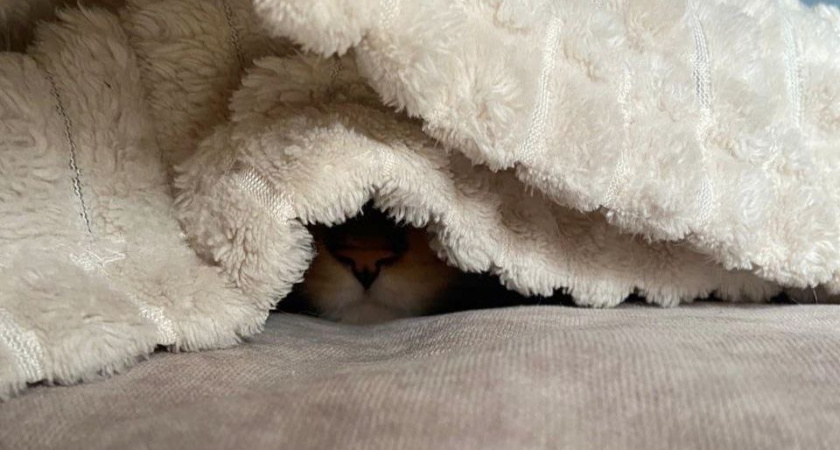 В Нижнекамске без отопления остаются 12 многоквартирных домов