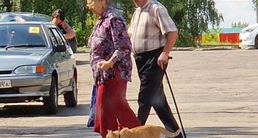 Минздрав РТ: В Татарстане 15% супружеских пар бесплодны