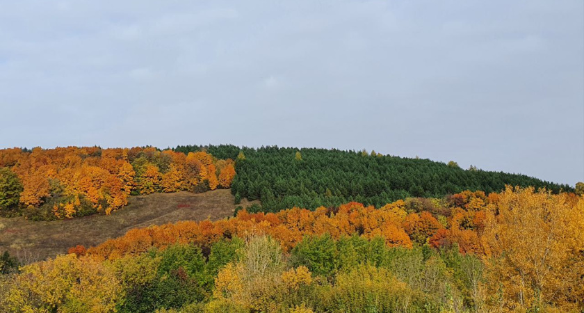 В Татарстан придут дожди и ветер