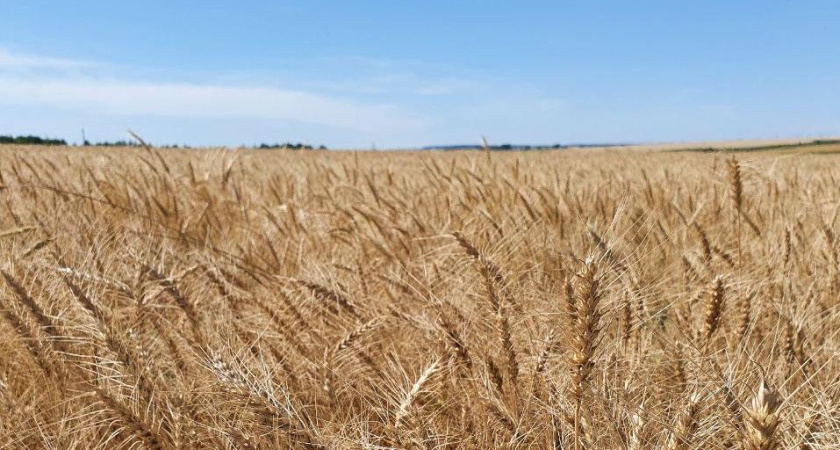 Депутаты предложили вернуть в телеэфир сельский час