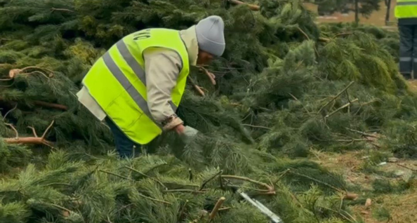 Елку в Сидоровском парке Челнов начали украшать к Новому году