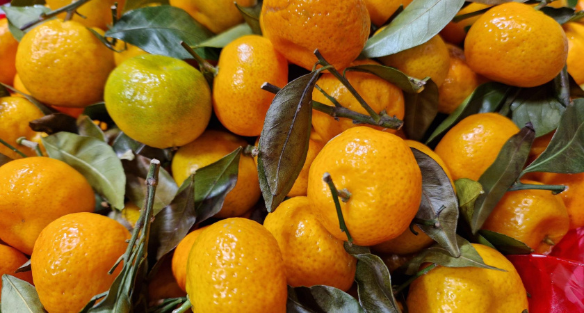 Символ Нового года не для всех: обзор цен на мандарины в магазинах Челнов