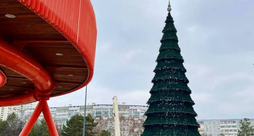 В Челнах собрали главную елку за 40 дней до Нового года