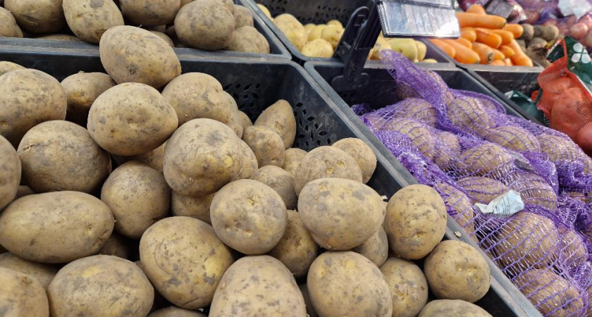 Без меда и овощей: чем грозит Татарстану бесснежная зима