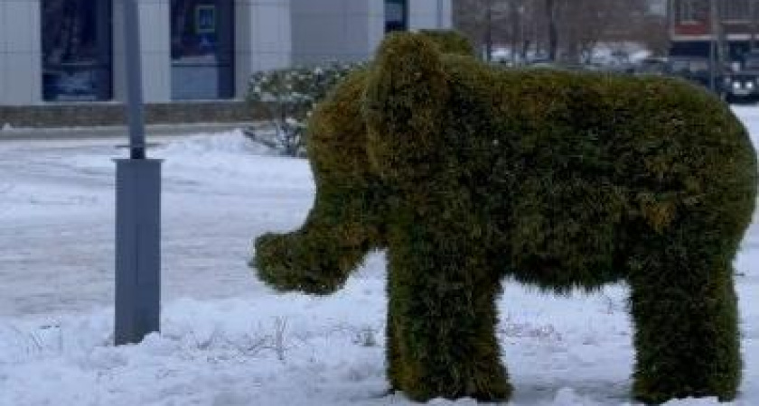 На Боровецком бульваре Челнов появились слоны и медведи из лапника