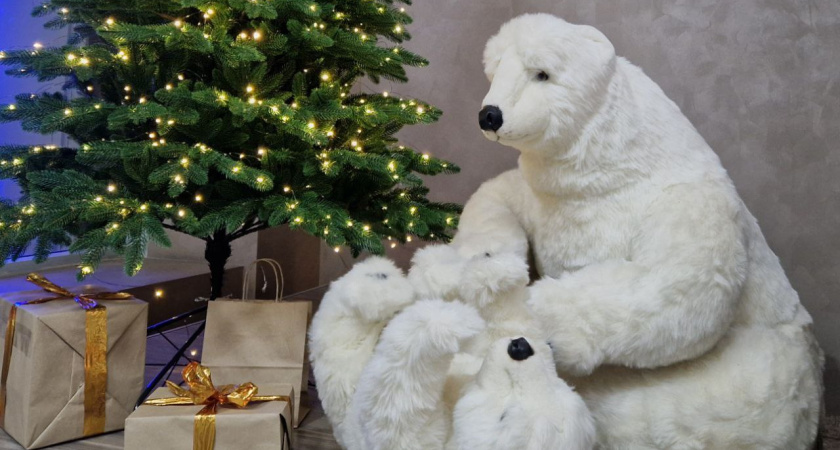 Почти 60% челнинцев ставят на Новый год искуственную елку