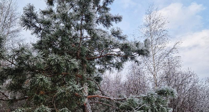 В выходные в Татарстане похолодает до минус 22