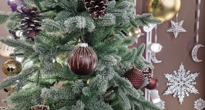 В Госдуме призвали отпустить россиян 28 декабря домой, потому что 2024 год  високосный