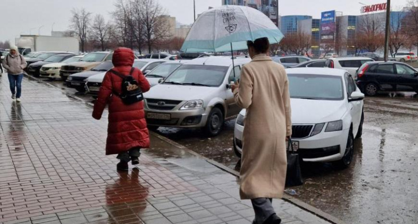 Число самозанятых в Татарстане превысило 357 тыс. человек