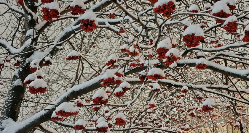 Выходные в Челнах: куда пойти 18 и 19 января