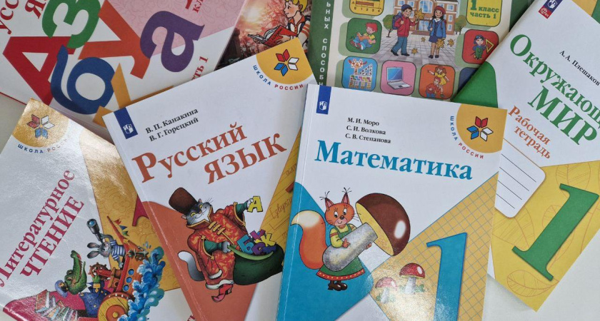 Министр образования РТ: «Мы заинтересованы, чтобы дети мигрантов обучались в наших школах»