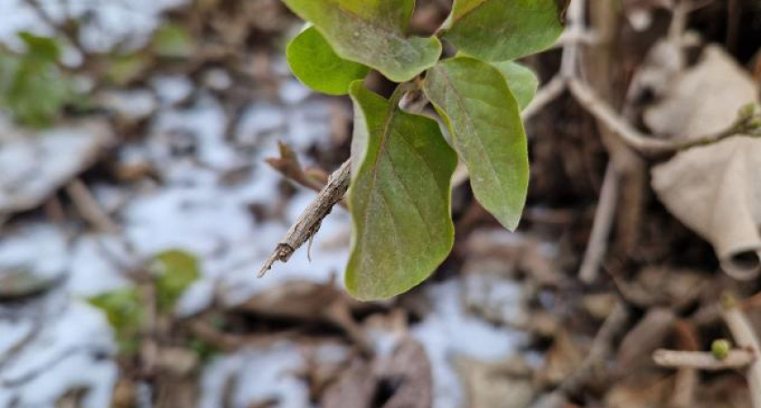 На этой неделе температура в Татарстане на 10 градусов превысит норму