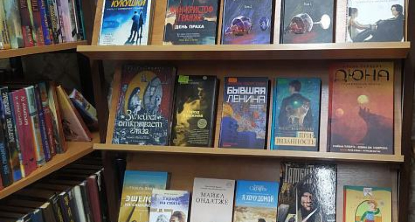 Библиотеки Челнов примут в дар книги