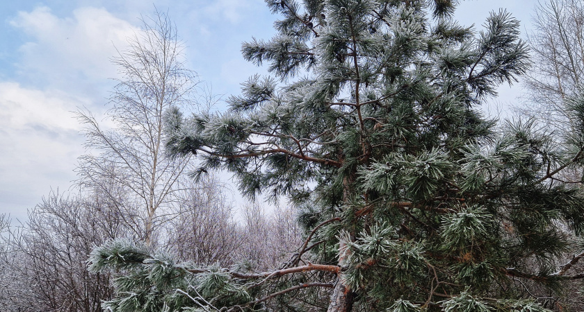 В Татарстан вернутся морозы – похолодает до минус 19 градусов