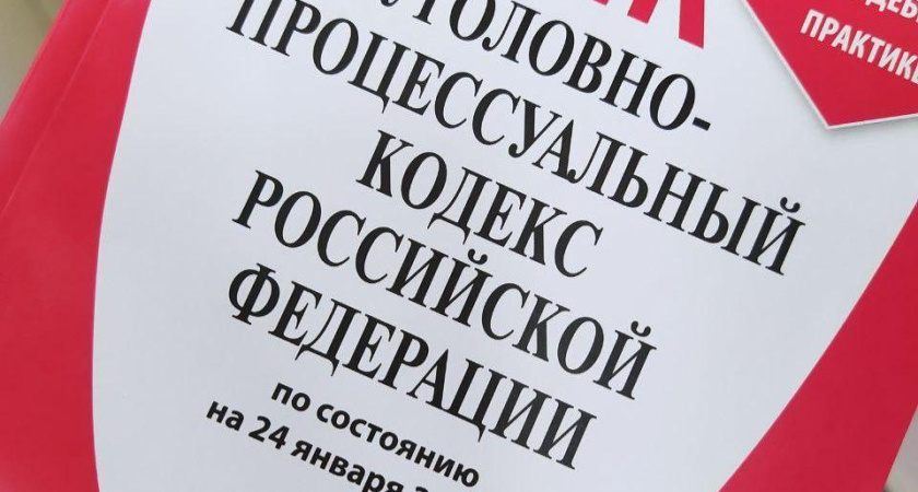 Бастрыкин запросил доклад о расследовании дела об избиении третьеклассницы в Нижнекамске