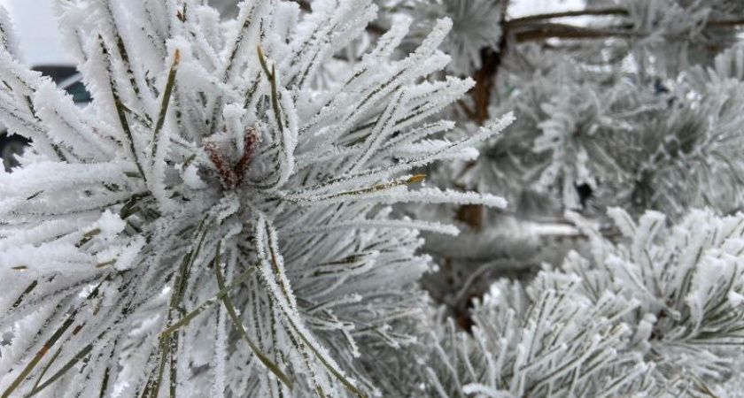 В Татарстан вернутся 20-градусные морозы