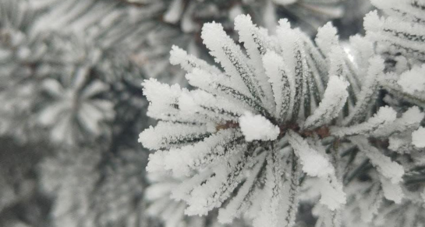 К концу недели в Татарстане похолодает до минус 27 градусов