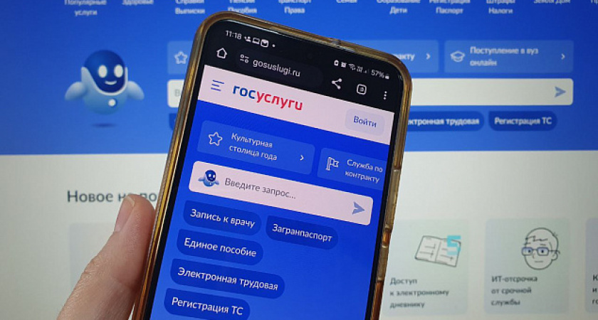 В Госдуме предложили восстанавливать доступ к Госуслугам через МФЦ