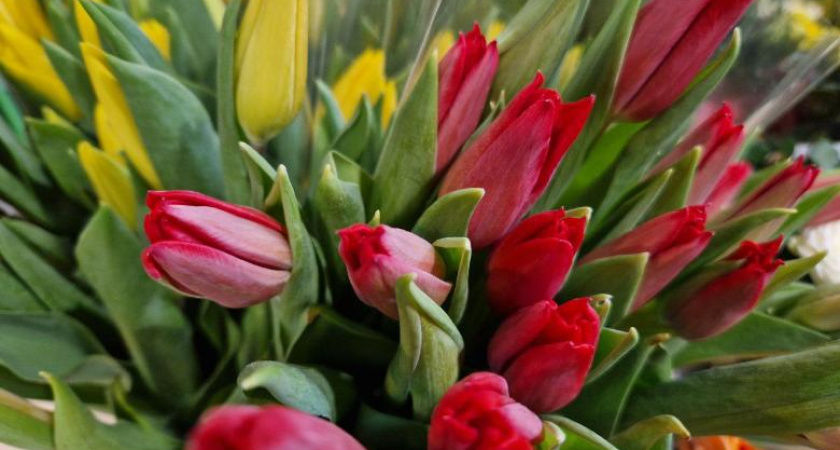 Каждый десятый челнинец сделает подарок на 8 Марта своими руками