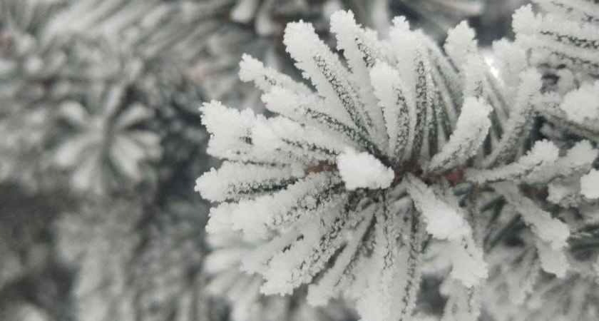 Татарстанцам обещают 8 марта мокрый снег и метели