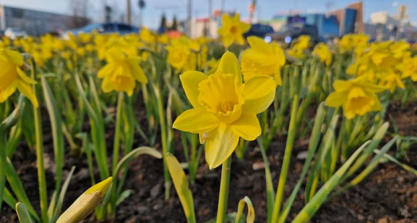 Выходные в Челнах: куда пойти 8 и 9 марта