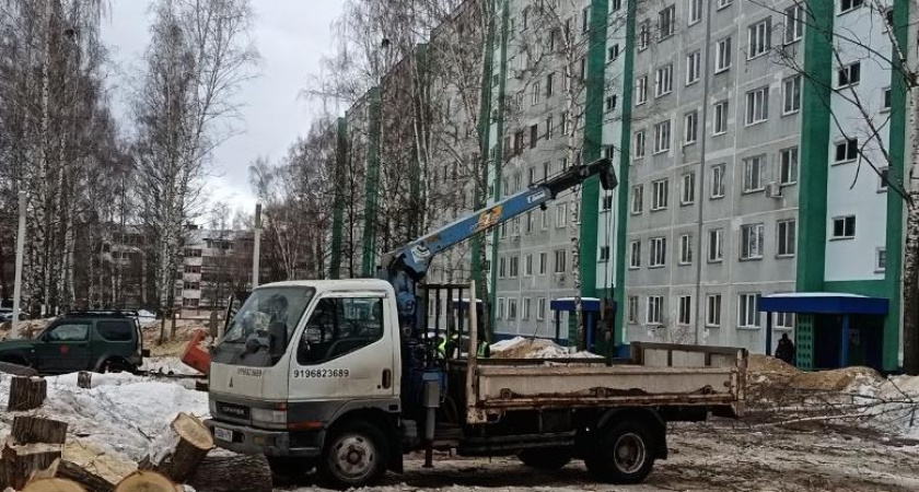 Салахов о спиле деревьев в Челнах: «Все проекты были согласованы»