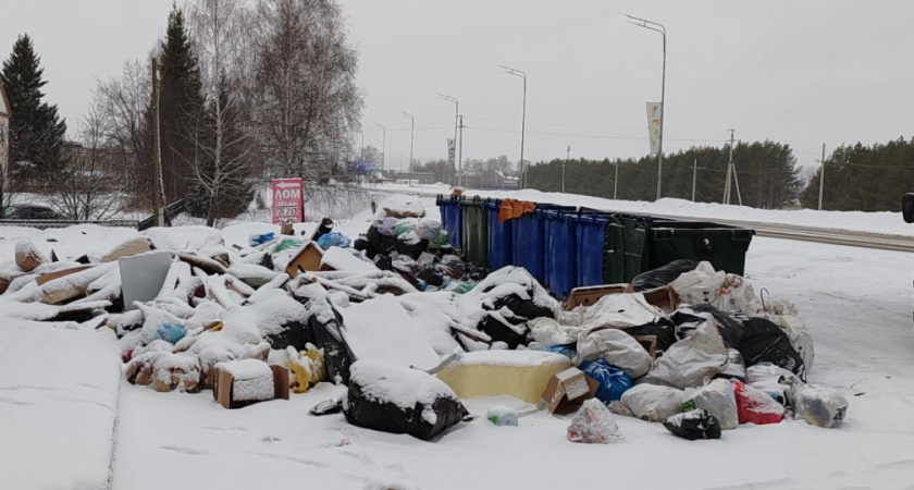 В Елабуге по требованию экологов убрали свалку 