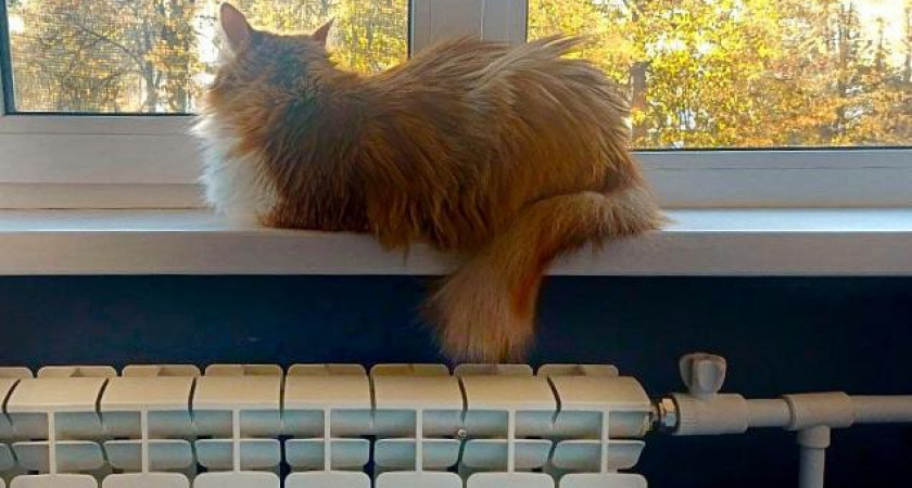 Магдеев рассказал, когда в Челнах отключат отопление