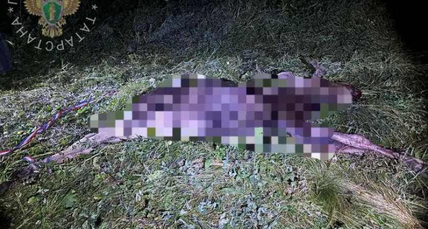 В Татарстане браконьер отделался условкой за убийство лося