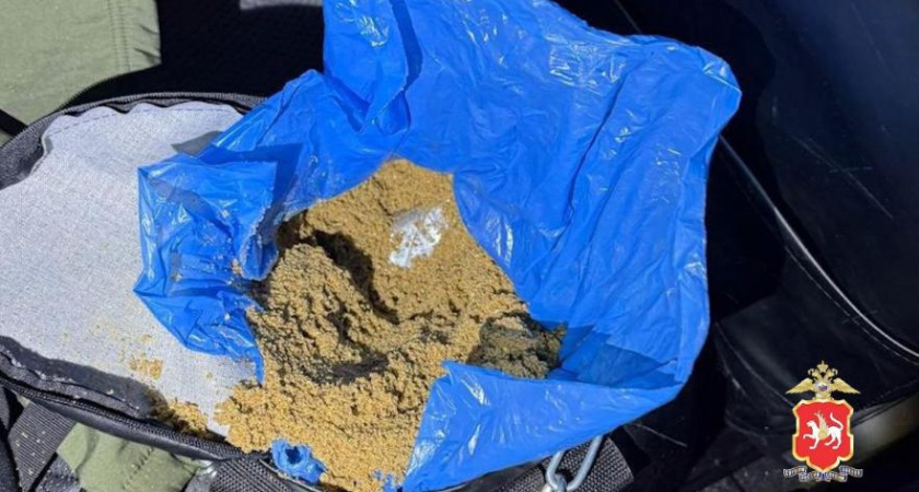 В Татарстане задержали наркокурьера – он перевозил 2 кг мефедрона в боксерской груше