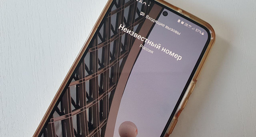 Двое мужчин в Челнах лишились сбережений: один вызывал проститутку, другой декларировал доходы