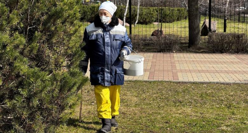 Парки Челнов начали обрабатывать от грызунов