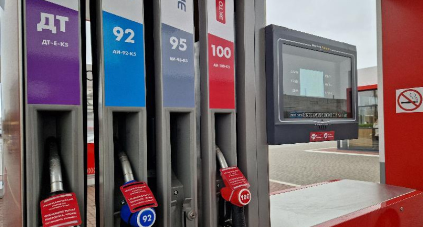В Татарстане замедлился рост цен на бензин