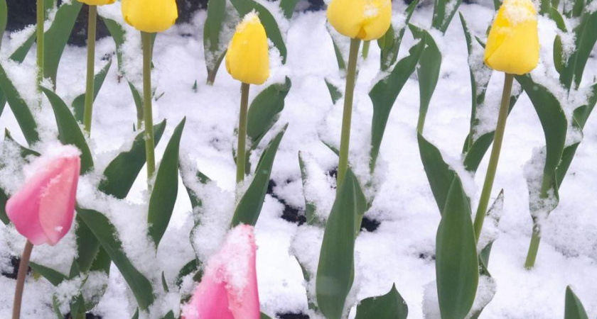 Трехдневная рабочая неделя началась для жителей Челнов