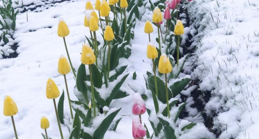 Праздник весны и труда под снегом: куда пойти 1 мая в Челнах