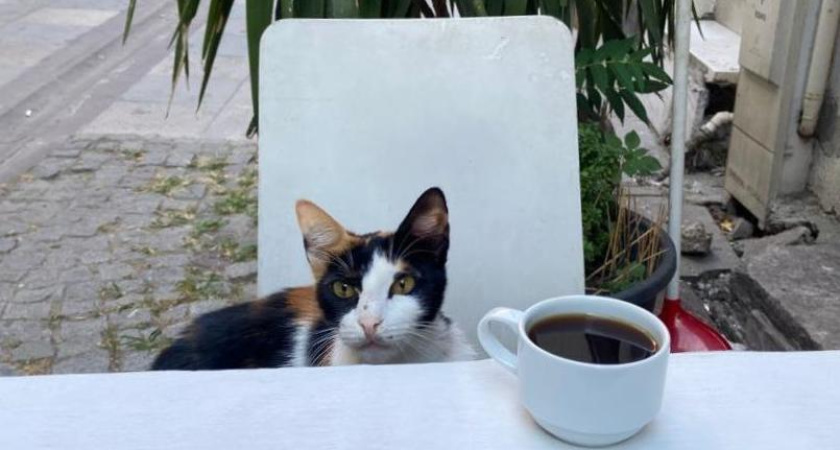 Каждый третий любитель кофе в Челнах предпочитает латте 