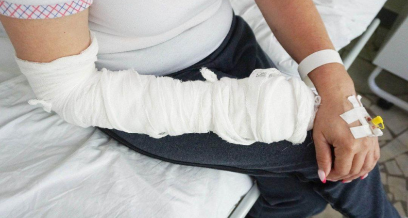 Змея укусила жительницу Челнов, когда та работала на дачном участке