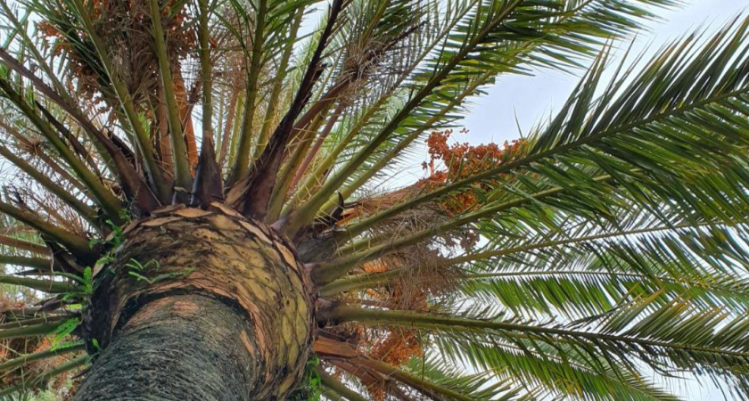 Жителей Челнов предупредили об изнуряющей жаре до плюс 34 градусов