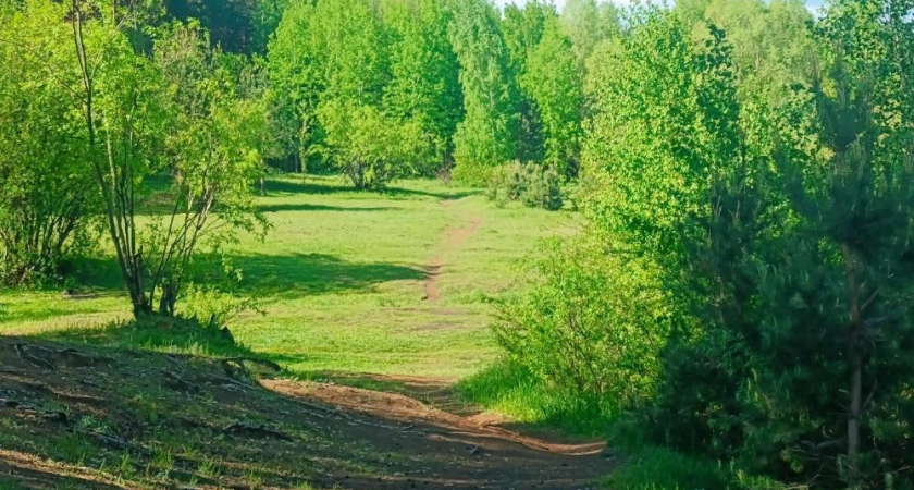 В Челнах зафиксирован первый случай клещевого боррелиоза