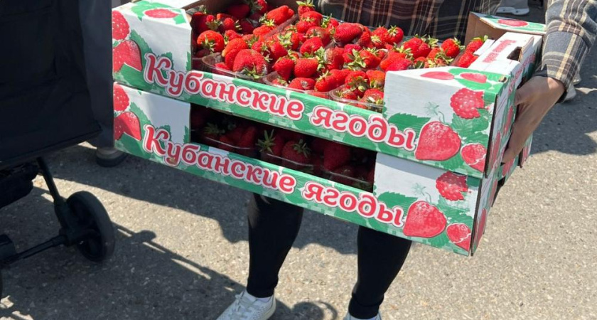 В Челнах бесплатно раздают ящиками клубнику – собралась огромная очередь (фото)