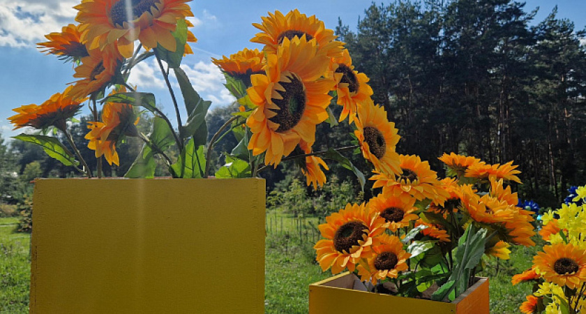 Стала известна тема фестиваля цветов в Челнах в 2025 году