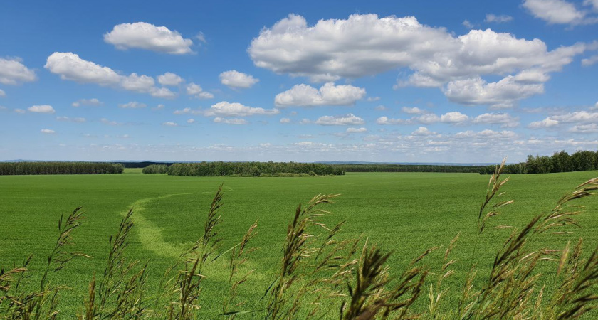 В Татарстан вернется жаркая погода
