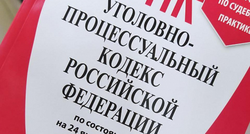 Суд Нижнекамска назначил 19-летней девушке 4,5 года колонии за работу курьером мошенников