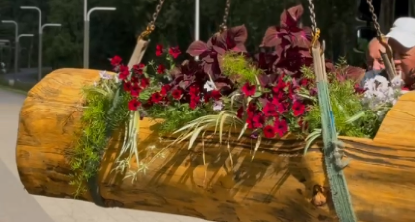 В парке Прибрежном начали устанавливать вазоны из бревен