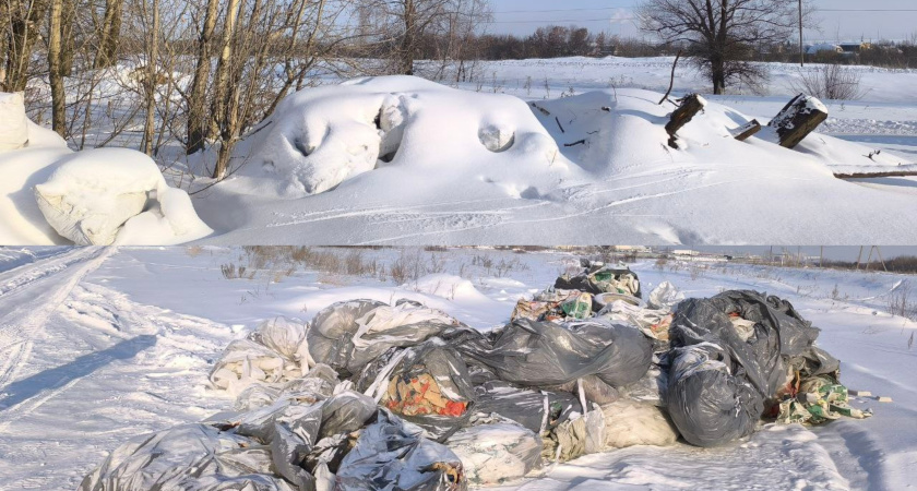 Экологи выявили несанкционированные свалки вблизи реки Челна