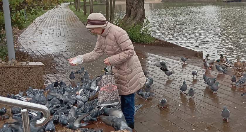 Не хватает стажа для ветерана труда: адвокат раскрыл законный способ добавить годы